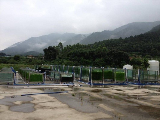 2025年2025澳门原料网站