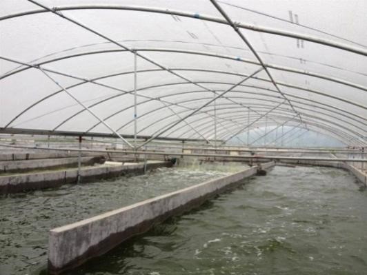 2025年2025澳门原料网站