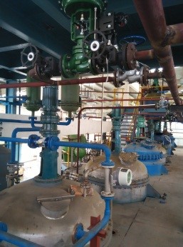 2025年2025澳门原料网站